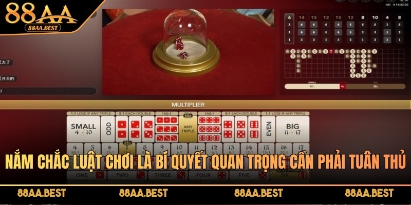 Nắm chắc luật chơi là bí quyết quan trọng khi chơi Sicbo online 88AA