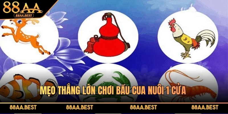 Mẹo thắng lớn chơi Bầu Cua nuôi 1 cửa mang lại hiệu quả nhanh