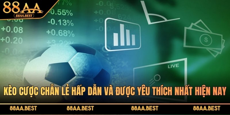 Kèo chẵn lẻ 88AA là loại kèo thể thao dễ hiểu dành cho người mới