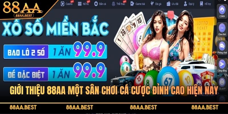 Giới thiệu 88AA nhà cái cá cược trực tuyến cho người chơi Việt Nam